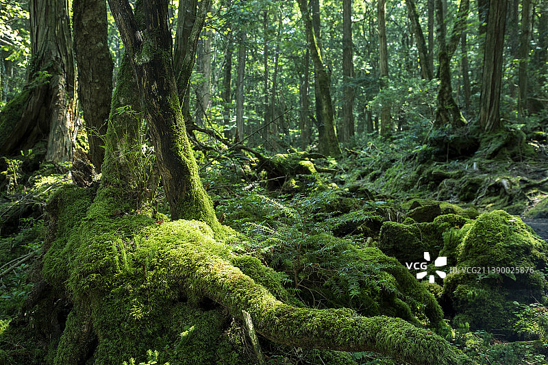 日本山梨县县图片素材