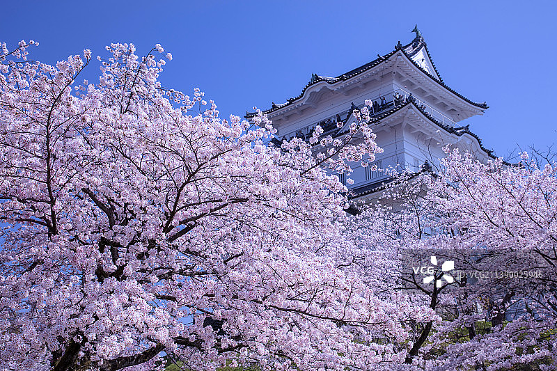 日本神奈川县图片素材