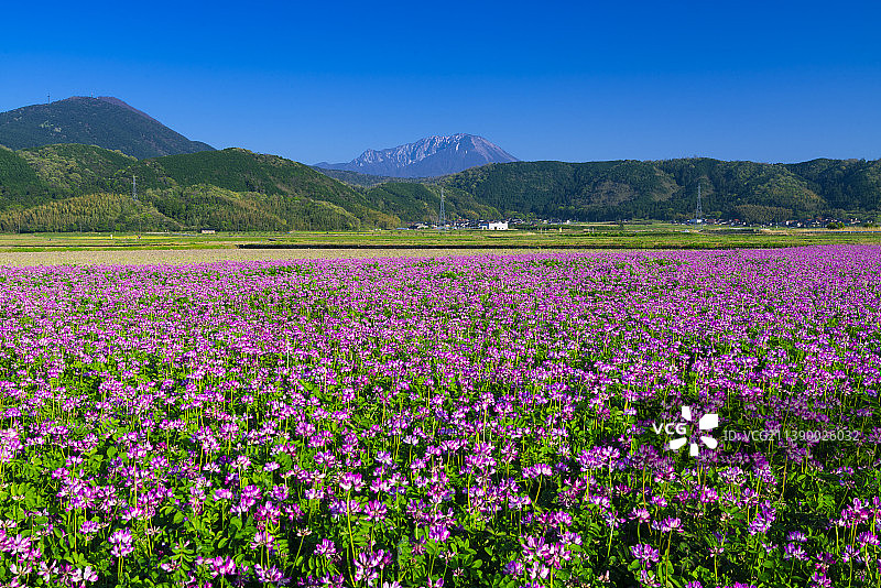 日本鸟取县图片素材