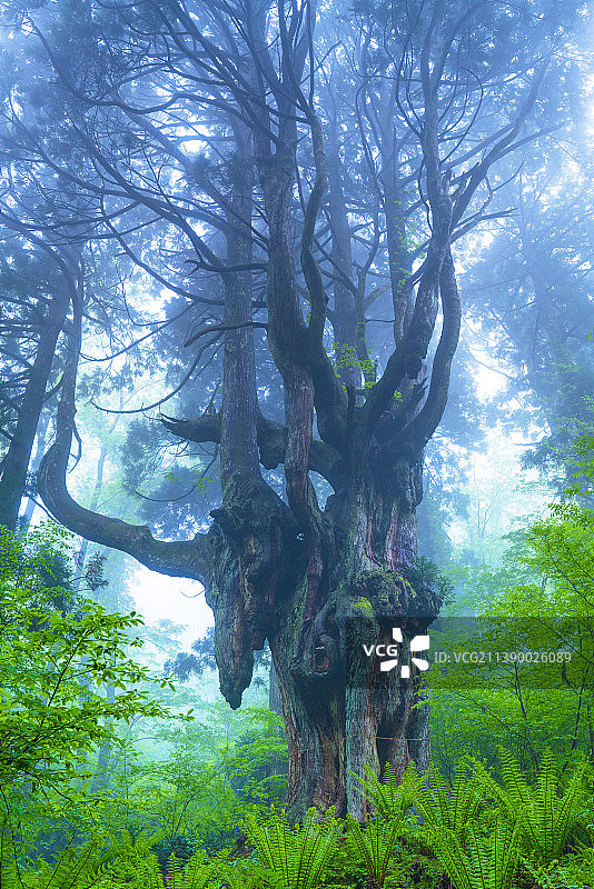 日本岛根县图片素材