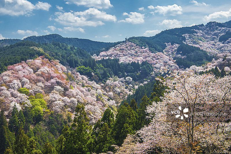 日本奈良县图片素材