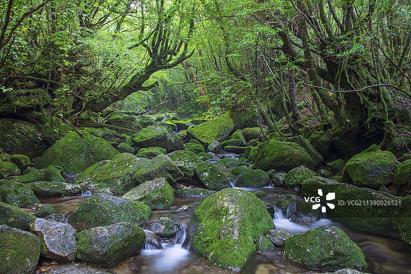 日本鹿儿岛县图片素材