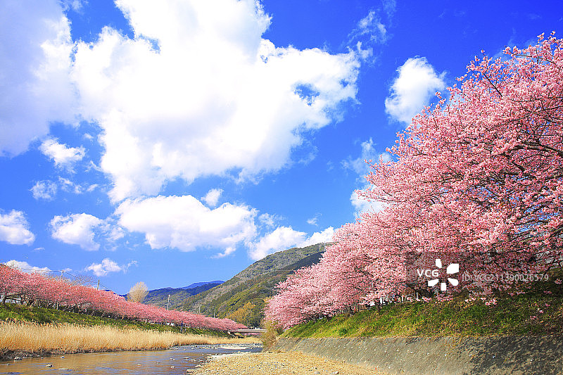 日本静冈县图片素材