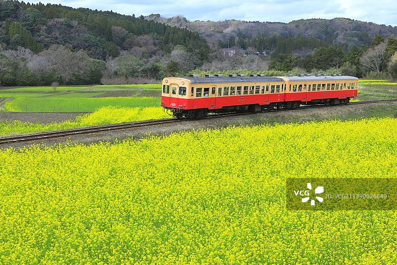 日本千叶县图片素材