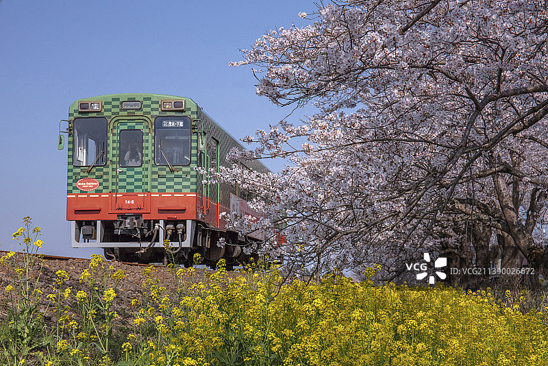 口木县,日本图片素材