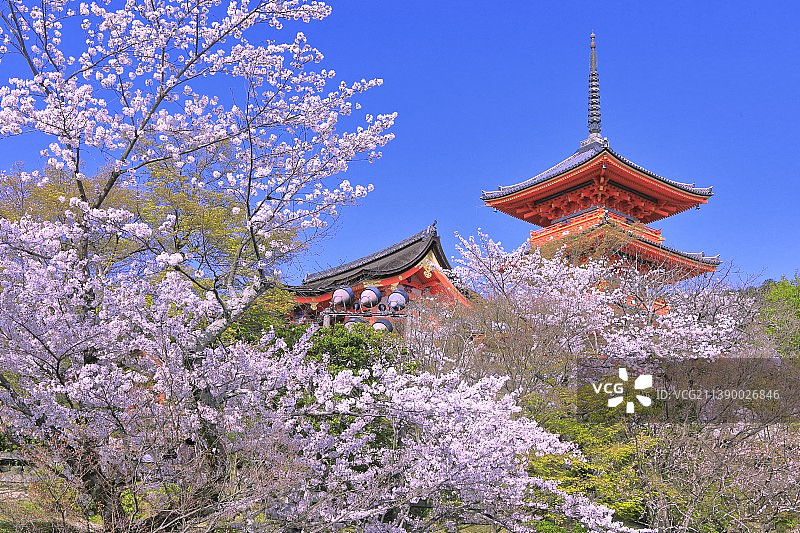 《京都议定书》,日本图片素材