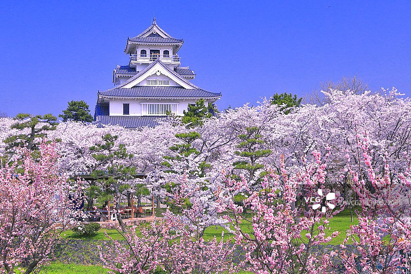 志贺县,日本图片素材