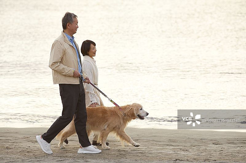 日本老年夫妇在海滩上图片素材