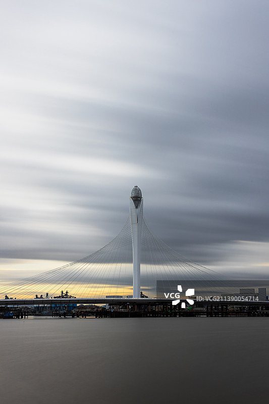 滨海湾大桥 玉兰花图片素材