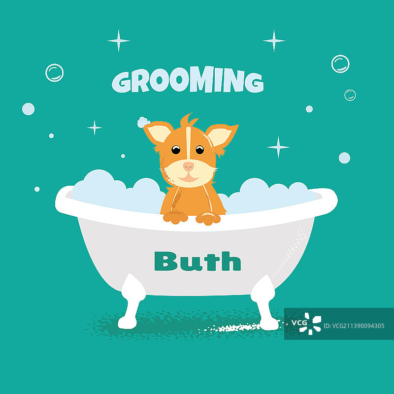 宠物美容店图片素材