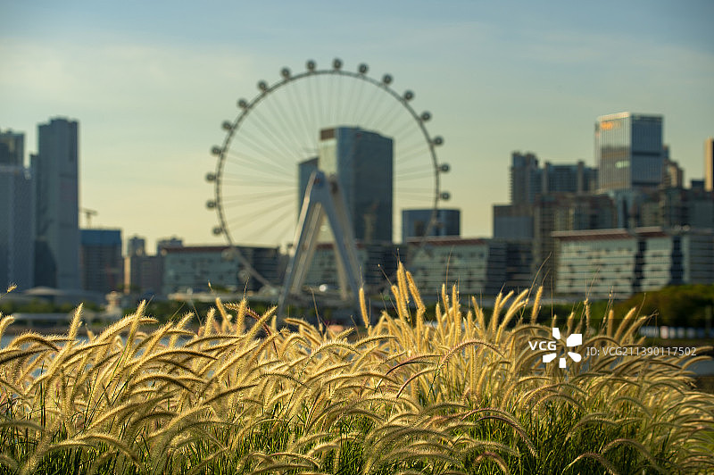 远眺深圳欢乐港湾图片素材