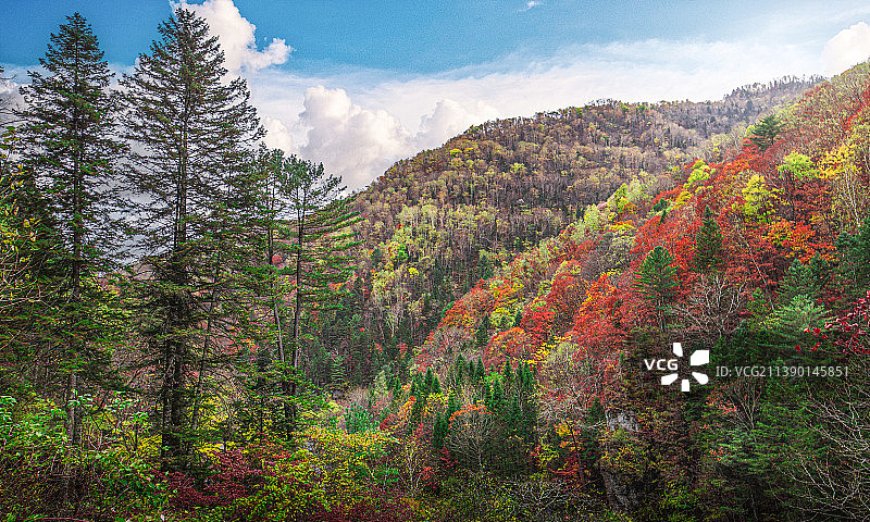 中国吉林长白望天鹅十五道沟风景区秋色图片素材