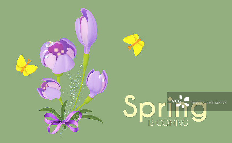 番红花春季设计模板图片素材