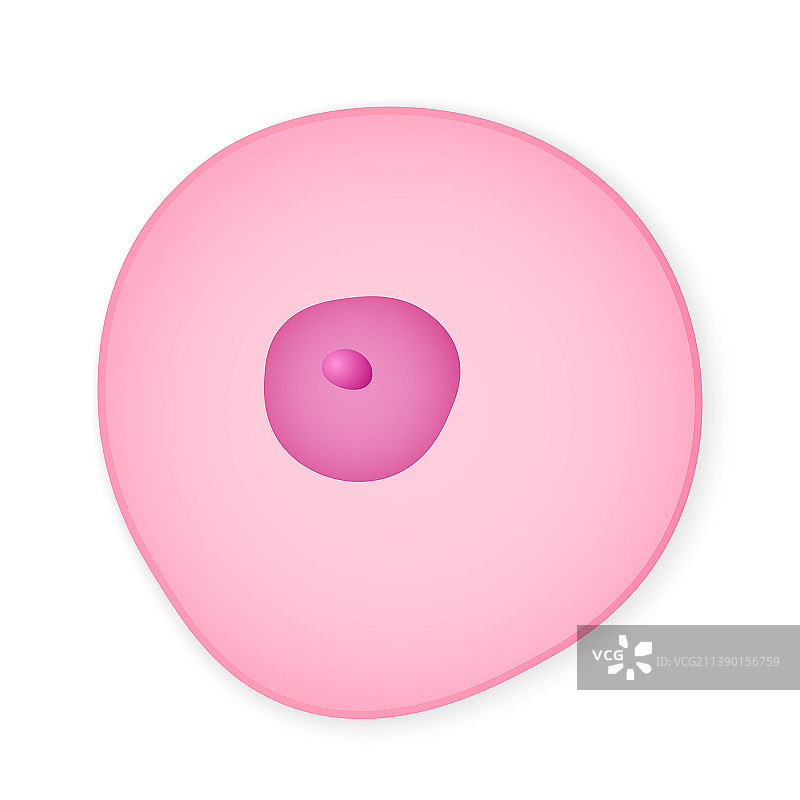 简约有机细胞图片素材
