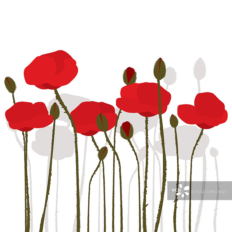 白色背景上手绘风格化罂粟花图片素材