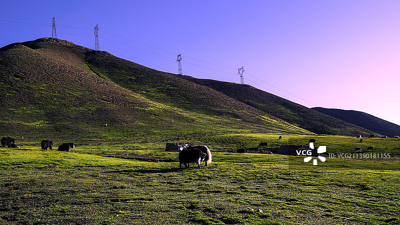 日月山下好牧场图片素材