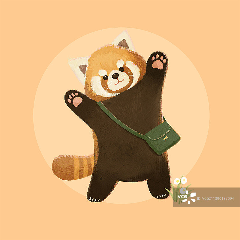 小熊猫图片素材