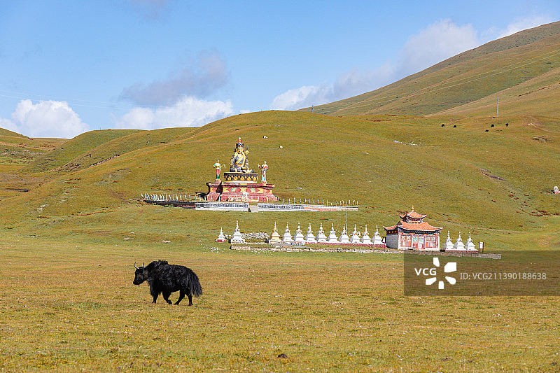 中国四川甘孜藏族自治州道孚县龙灯草原图片素材