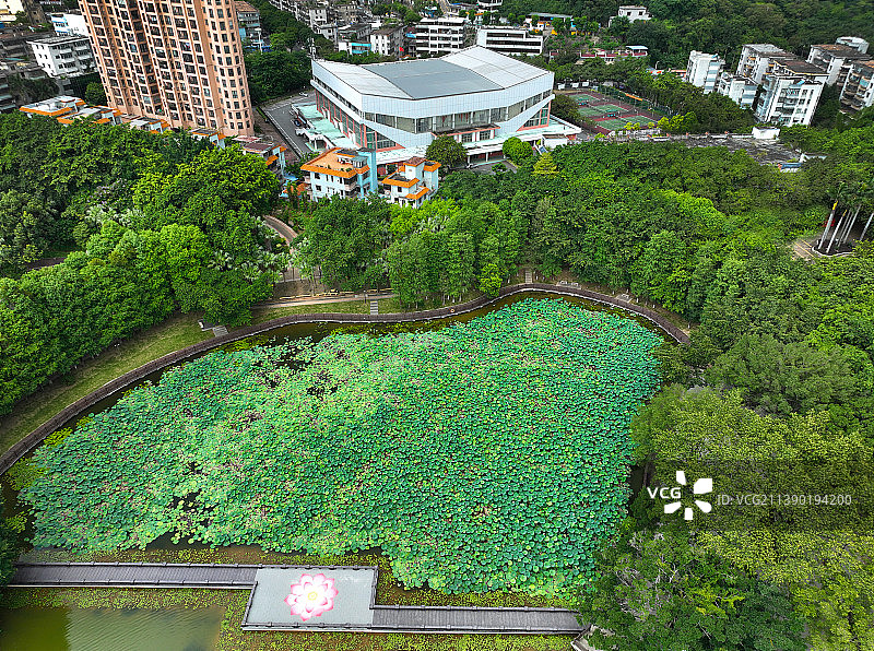 广东省江门市蓬江区五邑大学东湖公园航拍图片素材
