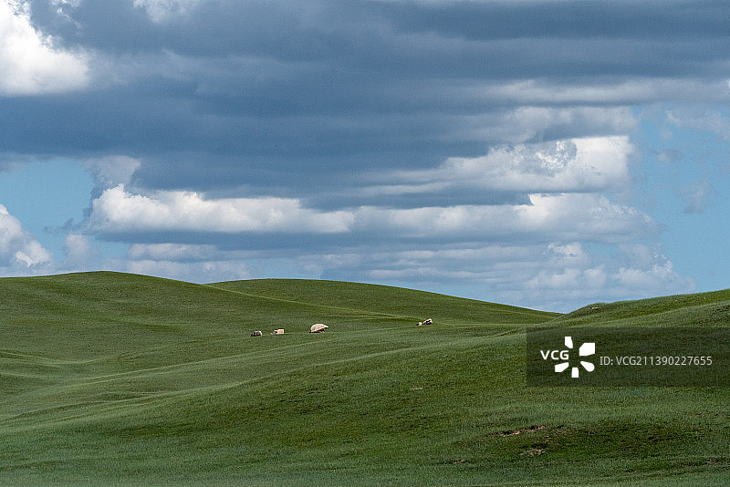 夏季巴音布鲁克草原自然风光图片素材
