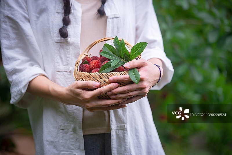 身穿中式衣服的女子手捧一篮新鲜杨梅图片素材