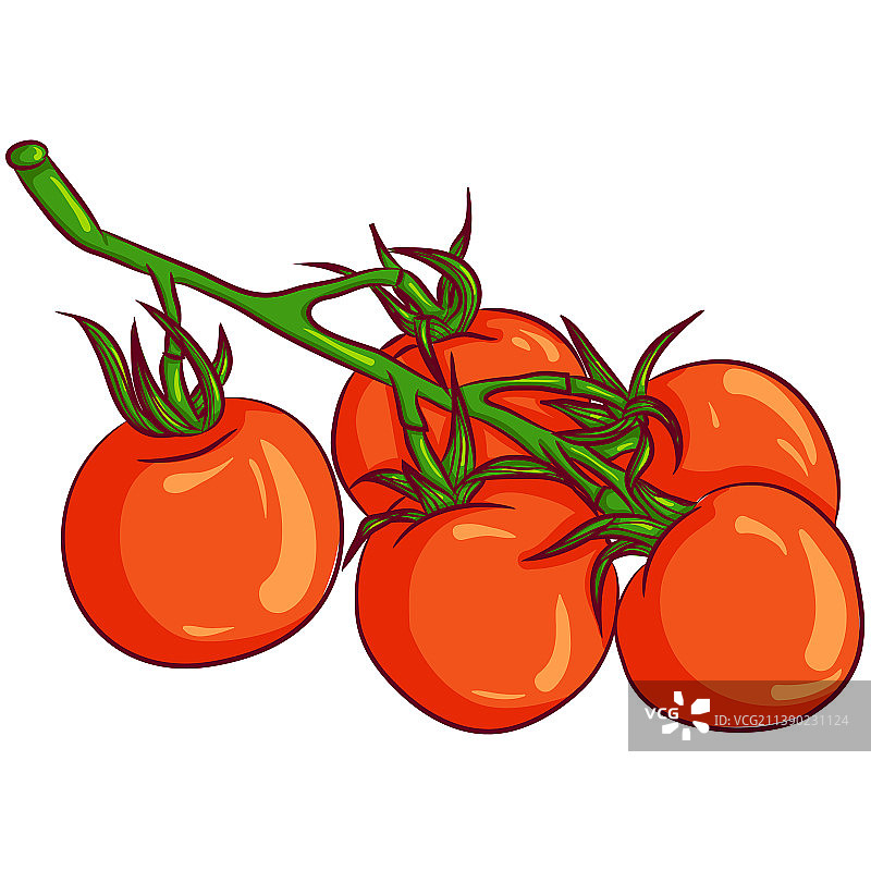 红色番茄枝条图片素材