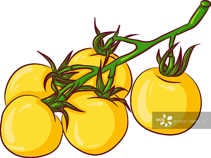 黄色番茄枝图片素材