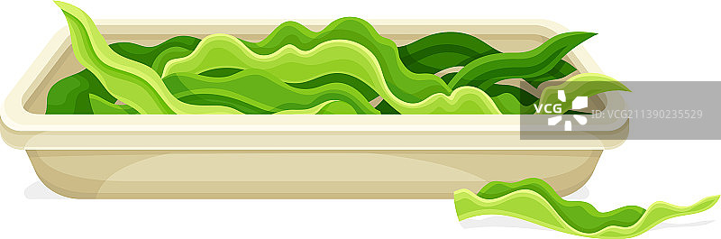 陶瓷盘上的新鲜螺旋藻叶图片素材