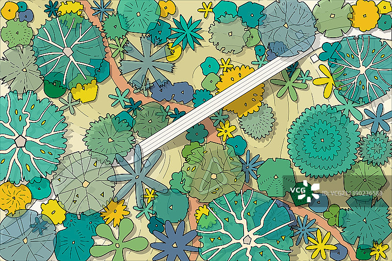 花园中的树木俯视图图片素材