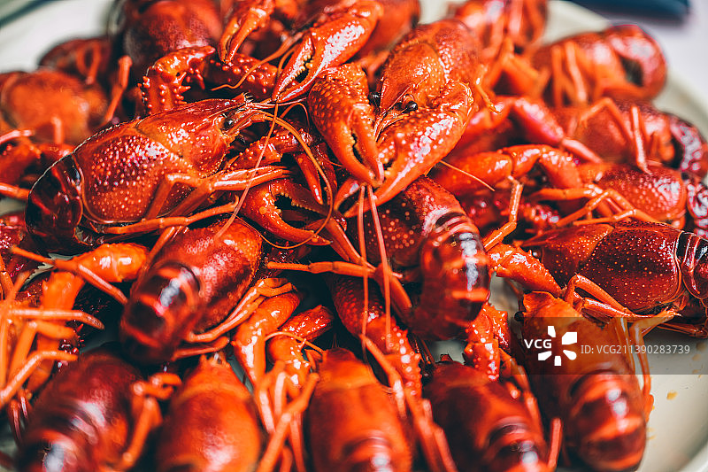 中国夏季传统美食清蒸小龙虾图片素材