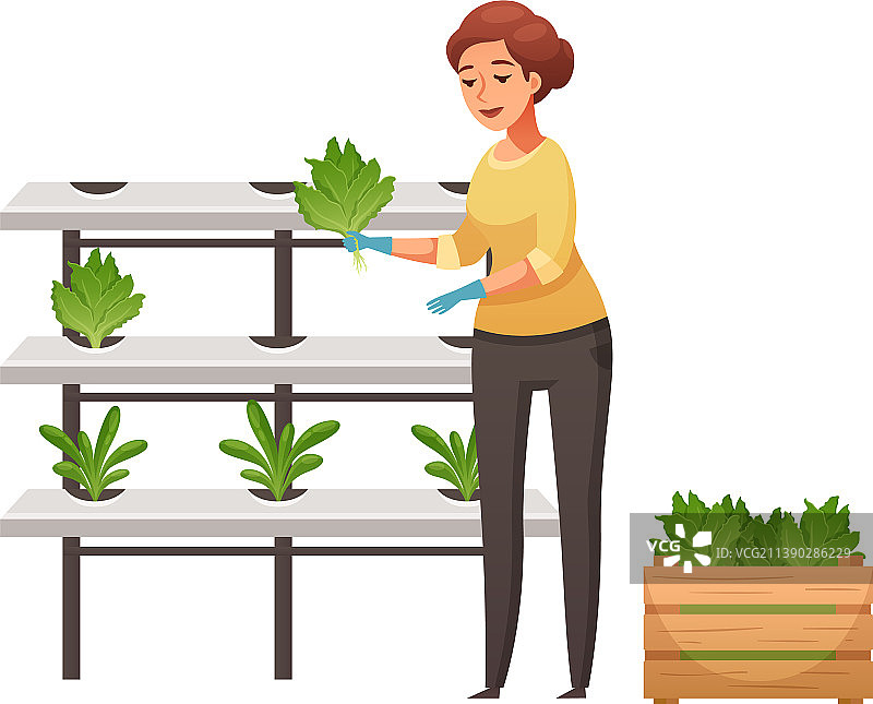 温室女性种植者图片素材