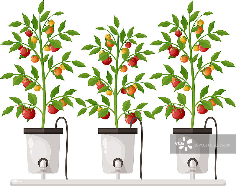 植物栽培温室图片素材