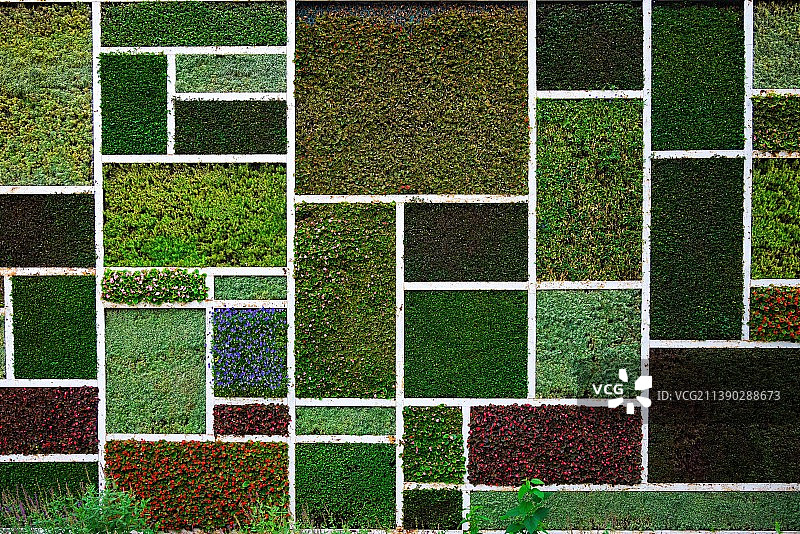 鲜花装饰的墙面图片素材