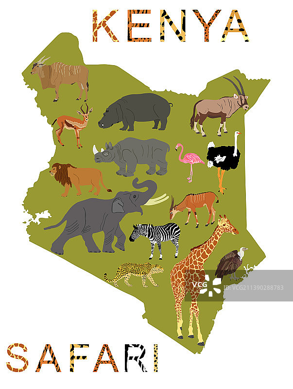 动物皮纹肯尼亚Safari地图图片素材