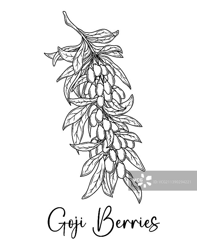 手绘枸杞图片素材