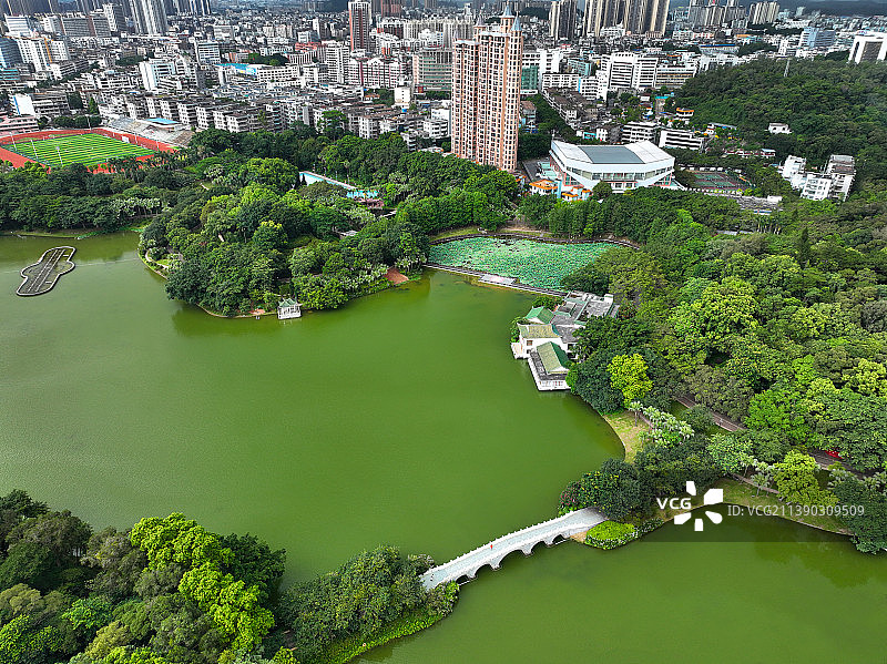 广东省江门市蓬江区五邑大学东湖公园航拍图片素材