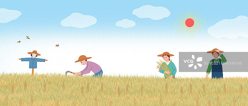 韩国秋季芒果丰收活动图片素材