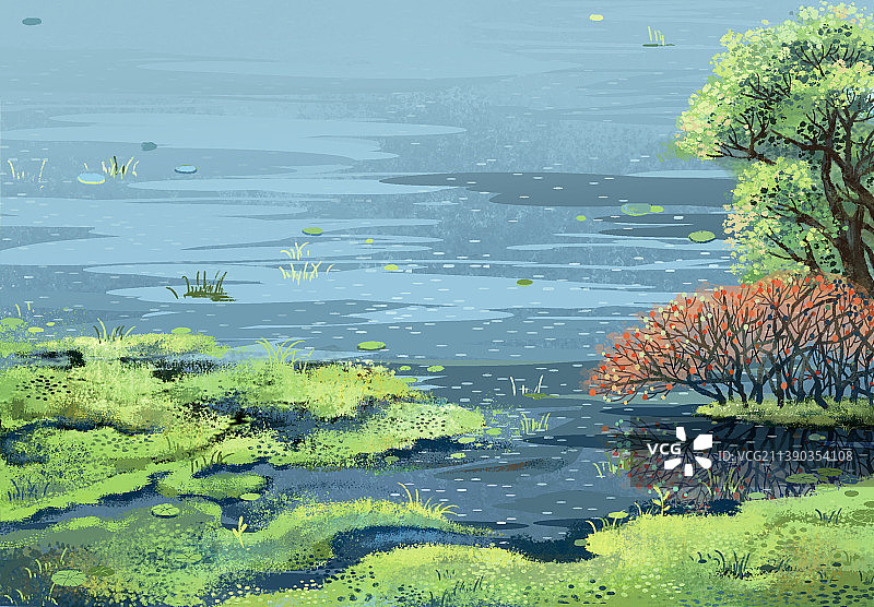 河边的水草地图片素材