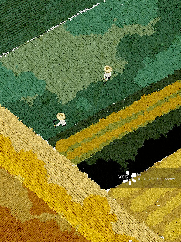 黄色绿色三农田间劳作丰收芒种节气农民图片素材