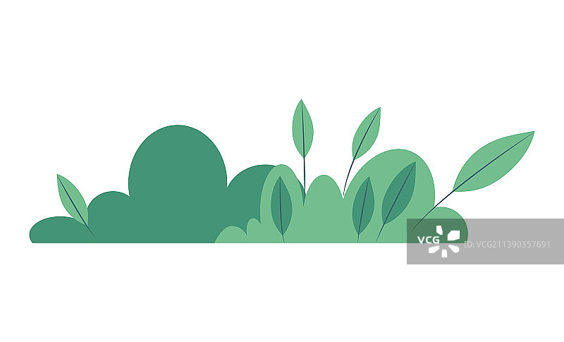 扁平灌木图片素材