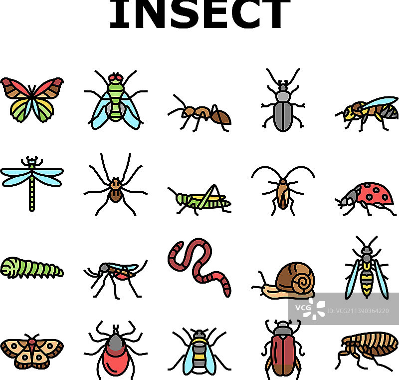 昆虫、蜘蛛和虫子野生动物图标集图片素材