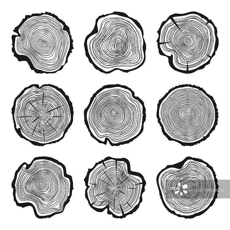 带有裂缝的圆形树干切割锯材松木图片素材