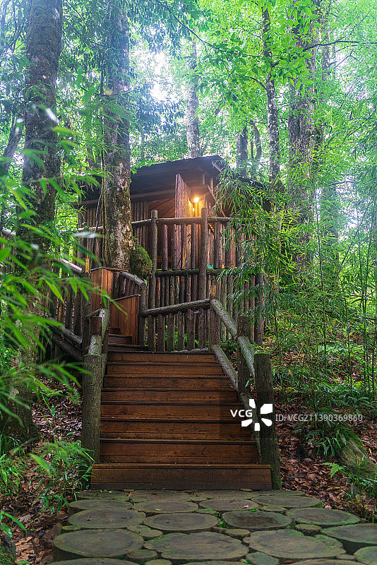 树林深处小木屋图片素材