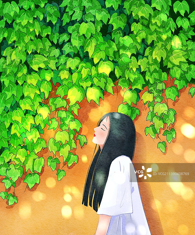 夏天的阳光照在了布满爬山虎的墙上图片素材