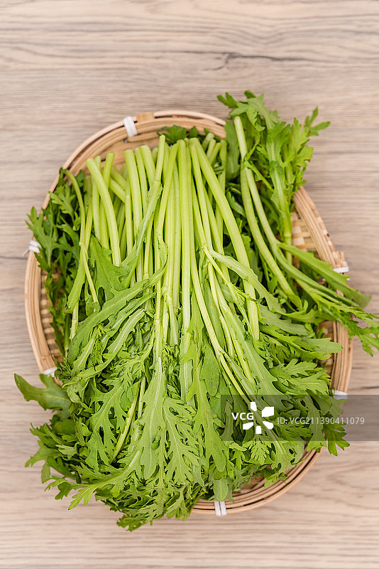 室内棚拍新鲜的茼蒿图片素材