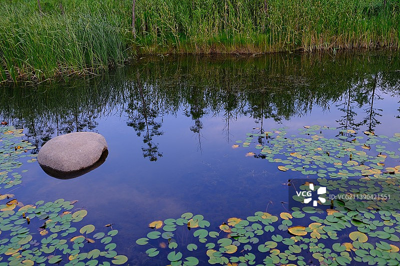 夏日黄昏的池塘图片素材