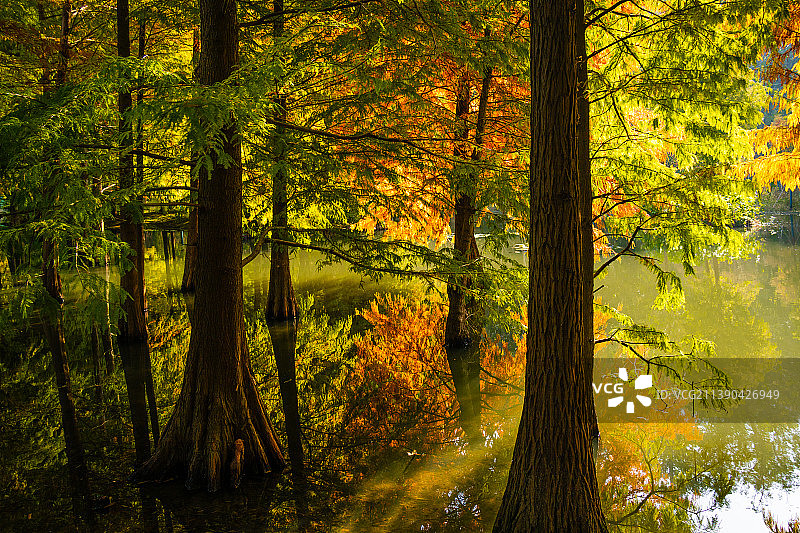 明孝陵燕雀湖图片素材