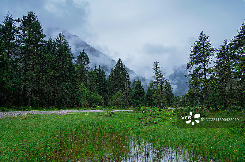 阴雨天的林芝新措风景图片素材