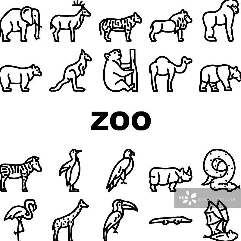 动物园动物：鸟类和蛇图标集图片素材