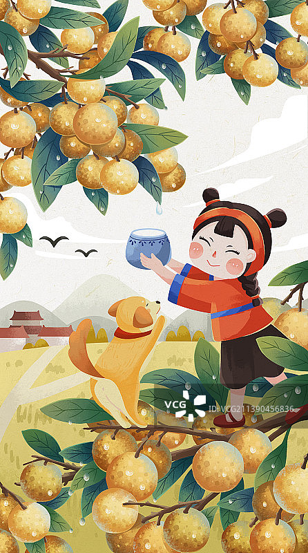 秋季节气白露图片素材